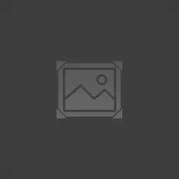 Interior Design - Mod para Kenshi