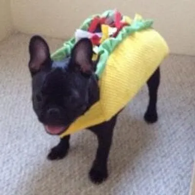 Hekili - Mod para World of Warcraft